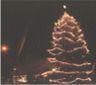 The venerable neighborhood Christmas tree