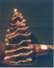 Our outdoor Christmas spruce